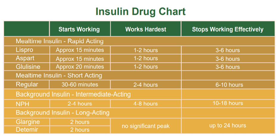 Insulin Therapy - Insulin Drug Chart