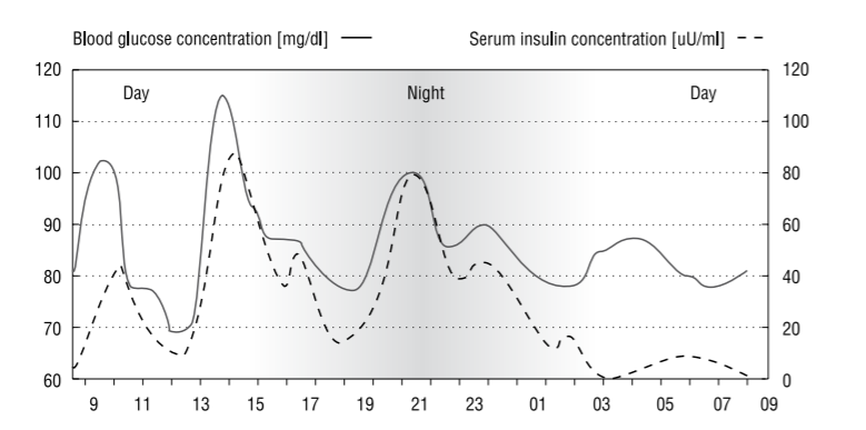 Blood Glucose Concentration Graph