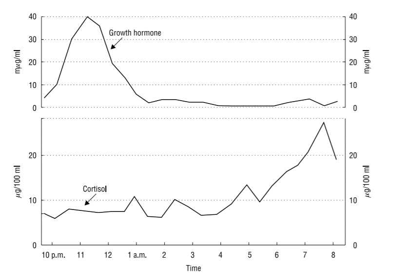 Hormones with antagonistic action to insulin have their own characteristic circadian rhythms